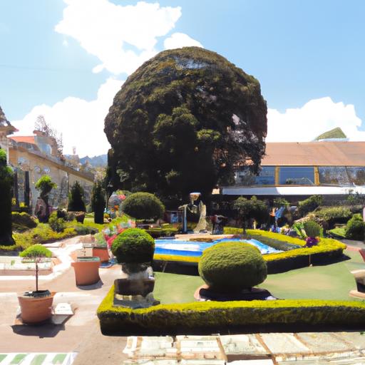 Cirugía de cataratas en Puebla: Precios y promociones actualizadas