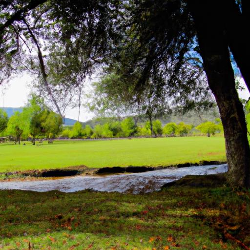 Hospédate cerca de Ciudad Universitaria en Puebla: las mejores opciones de alojamiento