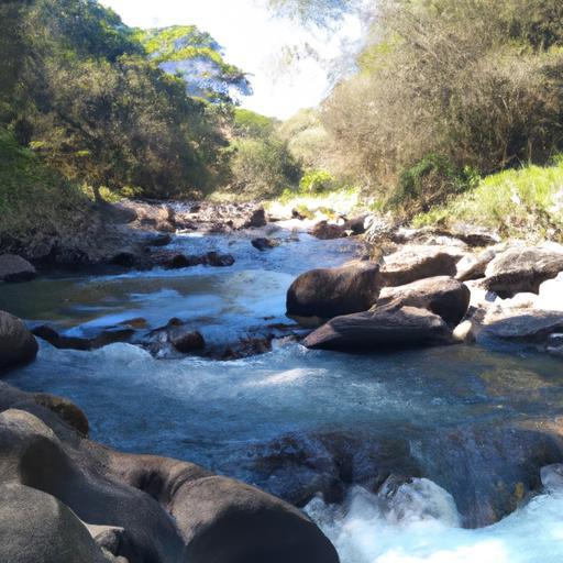 Las principales fábricas de hilo de algodón en Puebla