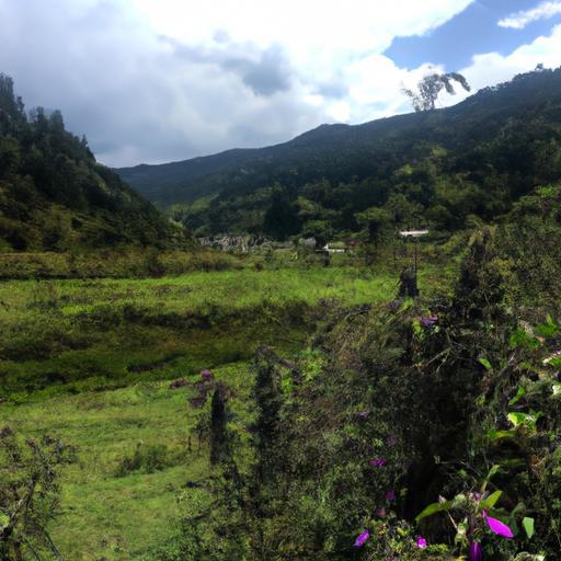 Casas en Renta en Puebla: Descubre Opciones por 2024 Pesos